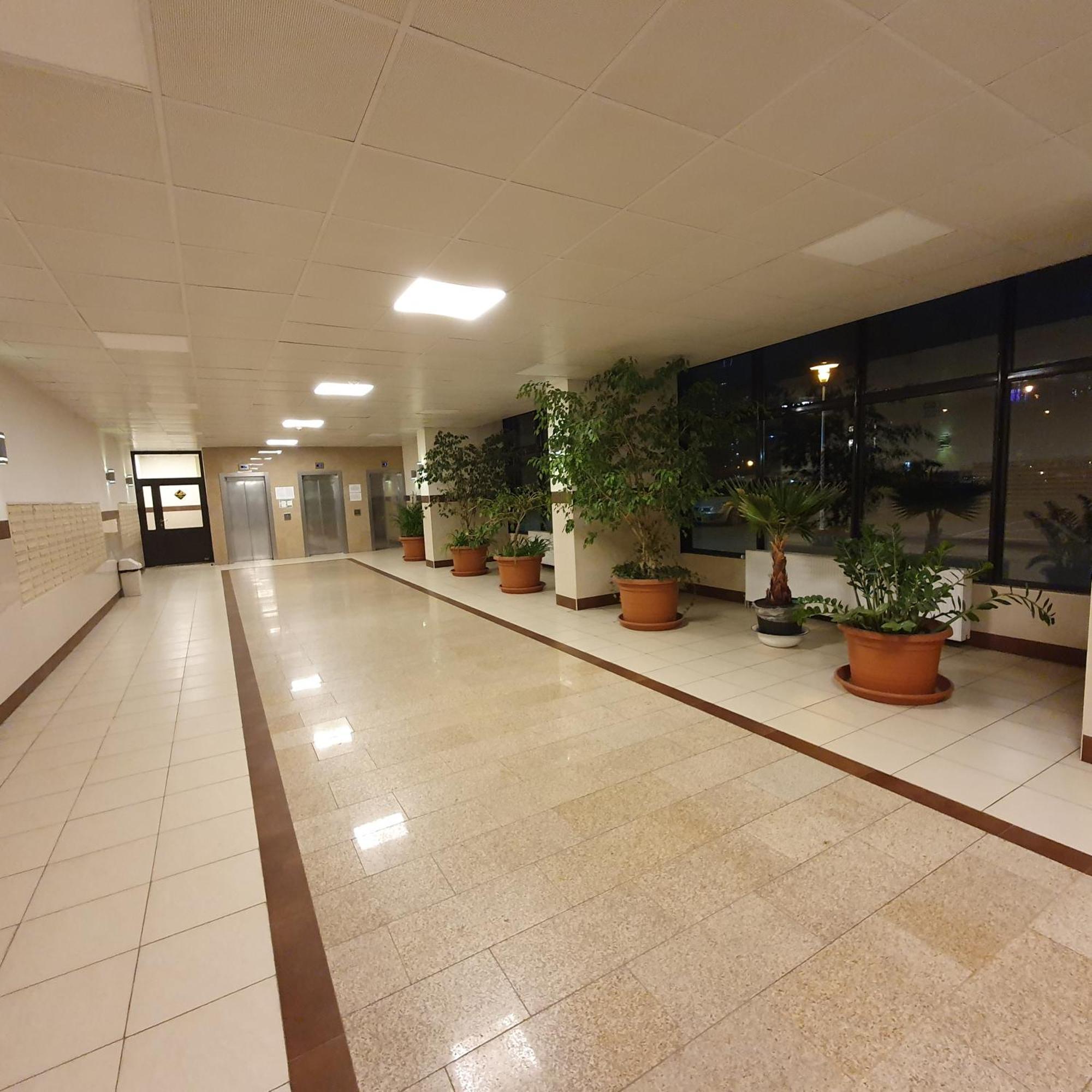 Park Saski Przechodnia Warszawa Exteriör bild
